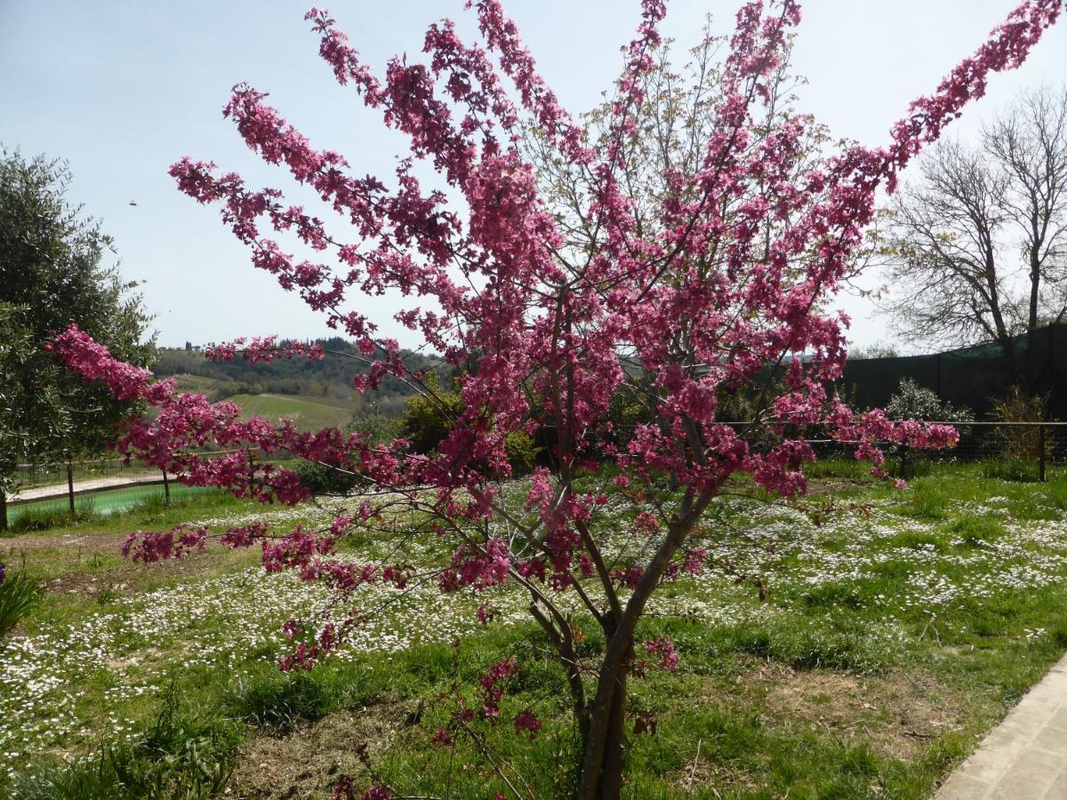 Agriturismo Le Tre Pietre - Podere Nel Chianti Quercegrossa Buitenkant foto