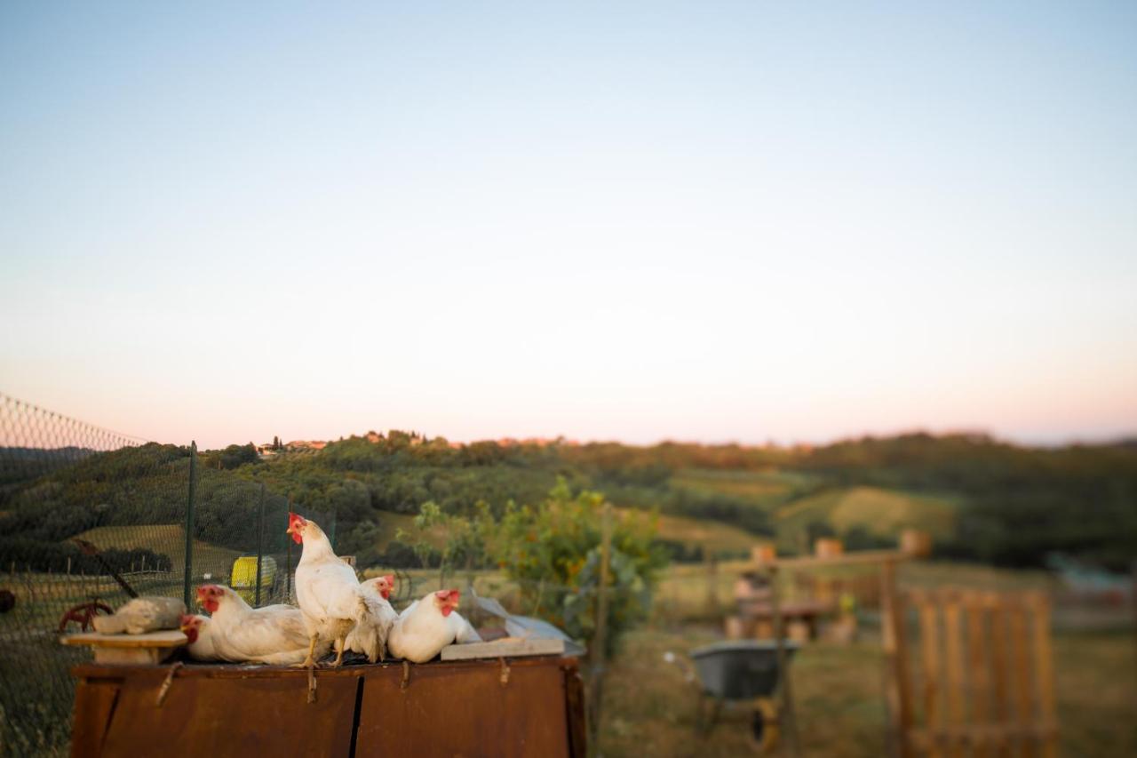 Agriturismo Le Tre Pietre - Podere Nel Chianti Quercegrossa Buitenkant foto