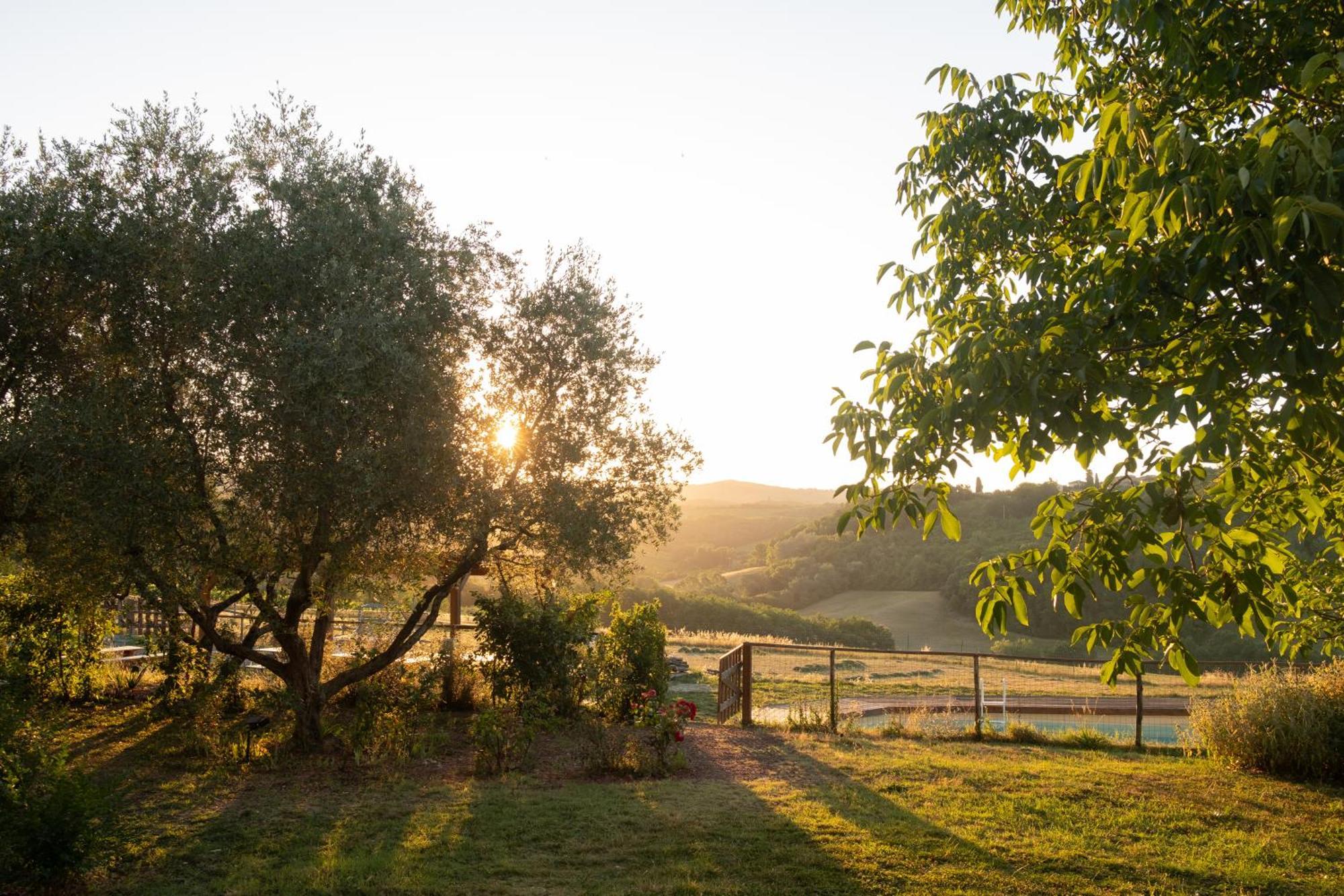 Agriturismo Le Tre Pietre - Podere Nel Chianti Quercegrossa Buitenkant foto