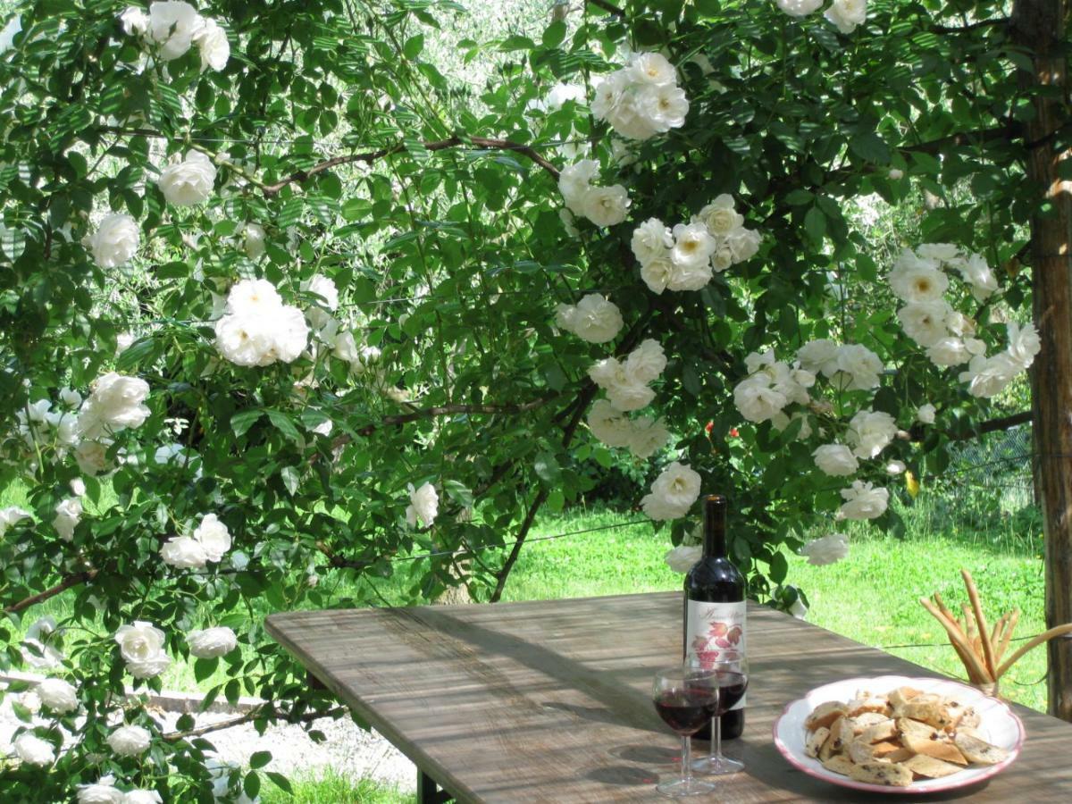 Agriturismo Le Tre Pietre - Podere Nel Chianti Quercegrossa Buitenkant foto