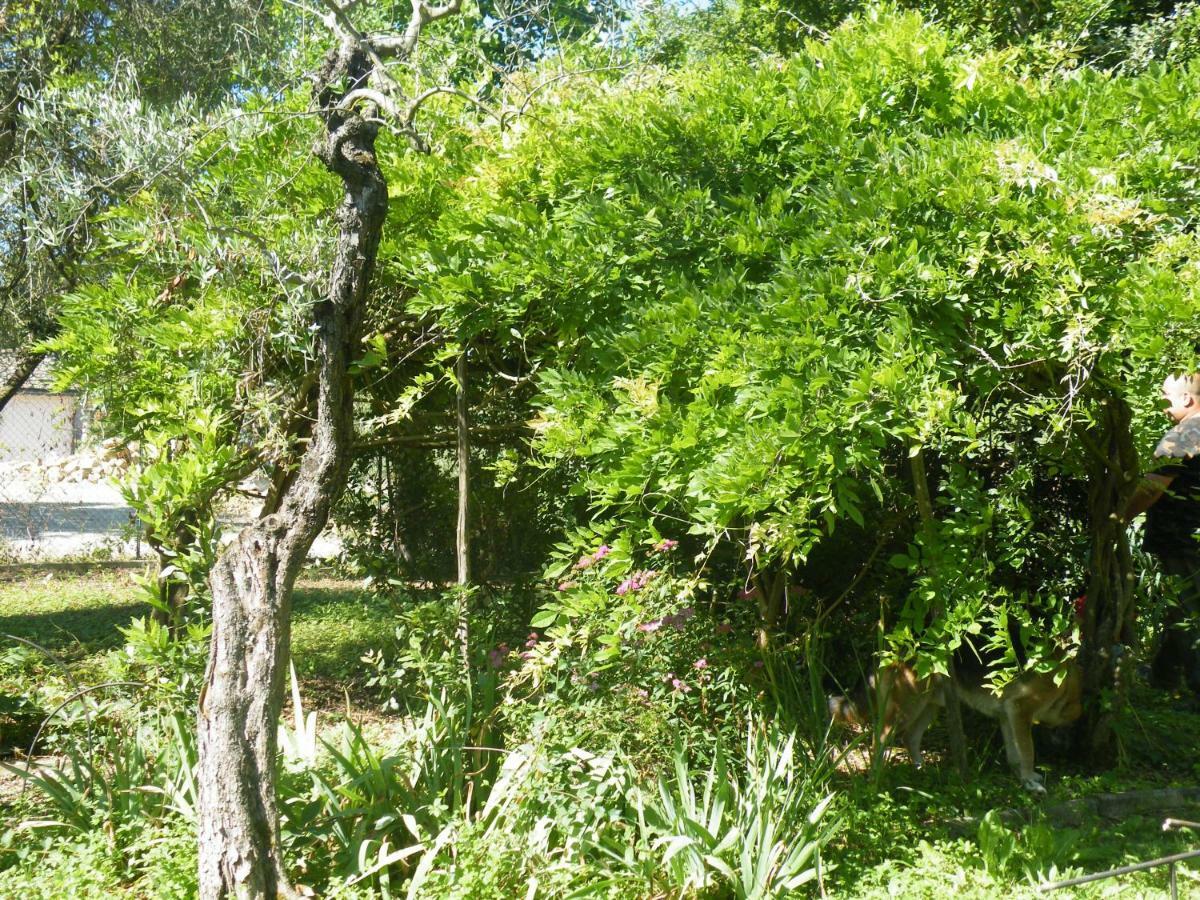 Agriturismo Le Tre Pietre - Podere Nel Chianti Quercegrossa Buitenkant foto